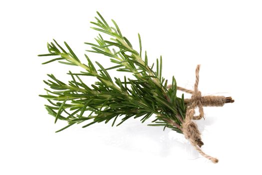 Fresh rosemary bunch isolated on white background.