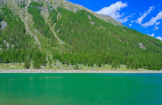 the green color of the pines on the mountains reflects on the lake