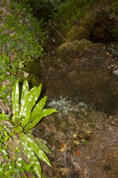 marmore waterfall and its streams in the lower part