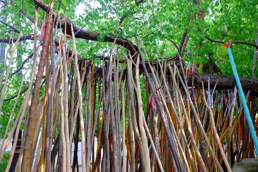 Crutched Bodhi Tree, Thai Tradition of Northern Temple of Thailand.