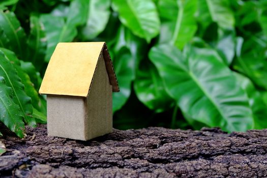 Cardboard House Located in The Garden.