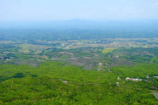 Top View of Green Forest Background.