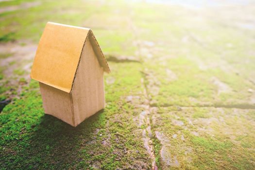 Cardboard House on Moss Ground in Vintage Style with Light Leak.