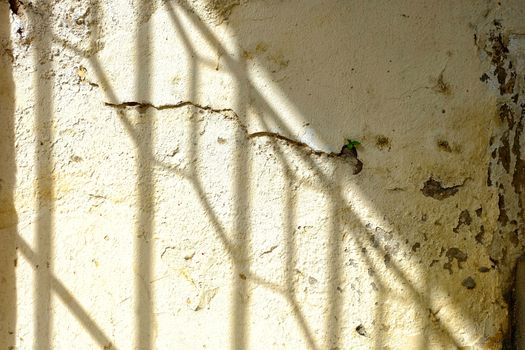 Shadow of Fence on Grunge Concrete Wall.