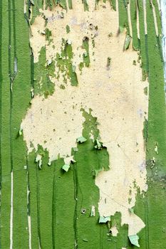 Green Peeling Painting on Concrete Wall.
