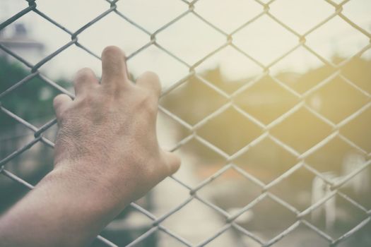 Man Hand Holding on Chain Link Fence with Light Leak.