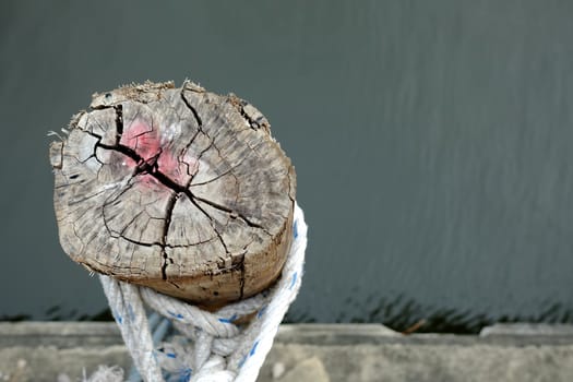 Wooden Pole Tie in Canal.