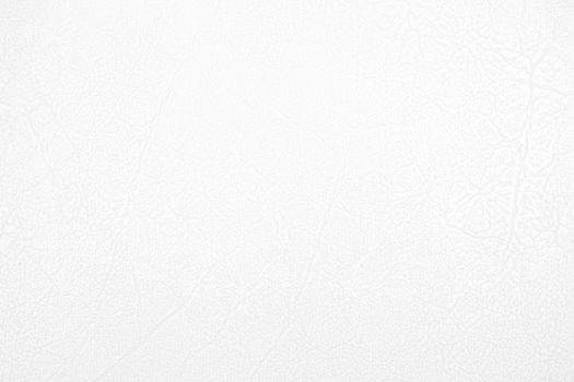 White Leather Texture Background.