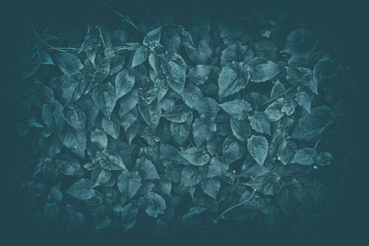 Leaves Background in Dark Contrast with Vintage Style.