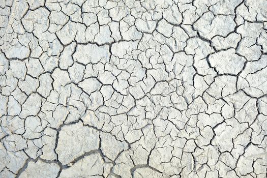 Cracked White Dry Soil Texture Background.