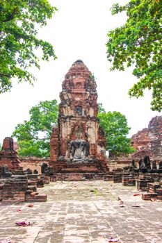 Pagoda and Buddha statues old at Wat Mahathat famous and popular tourist destinations Ayutthaya, Thailand.