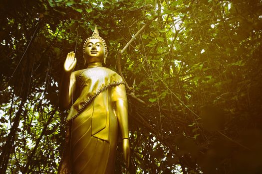 Golden Buddha Image in Park with Light Leak.