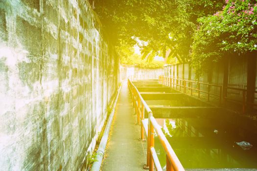 Walking Way Along The Canal with Light Leaks.