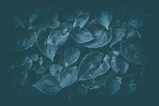 Leaves Background in Dark Contrast with Vintage Style.