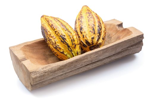 Cocoa fruit, raw cacao beans, Cocoa pod isolated on white background.