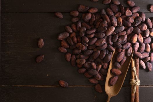 Top view of Cocoa beans in vintage table on dark background.