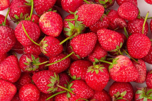 Fresh strawberries isolated on a white background