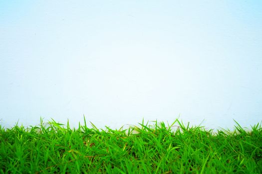 White Concrete Wall Background with Lawn Field.