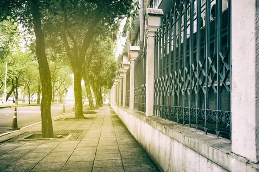 Footpath with Light Leak.