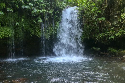 Yeh Ho Waterfall is located in the lush rice field-laden Penebel village in Tabanan. Waterfall near to Jatiluwih rice terrace in Bali, Indonesia. Beautiful waterfall in deep tropical jungle.