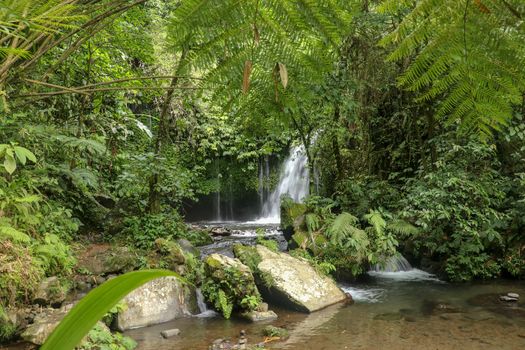 Water Flow Through Stones In Yeh Ho River in tropical jungle. Beautiful waterfall is located in the lush rice field-laden Penebel village in Tabanan near to Jatiluwih rice terrace in Bali, Indonesia.