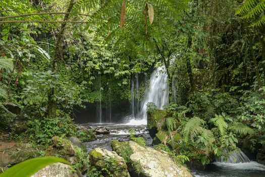 Water Flow Through Stones In Yeh Ho River in tropical jungle. Beautiful waterfall is located in the lush rice field-laden Penebel village in Tabanan near to Jatiluwih rice terrace in Bali, Indonesia.