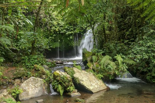Water Flow Through Stones In Yeh Ho River in tropical jungle. Beautiful waterfall is located in the lush rice field-laden Penebel village in Tabanan near to Jatiluwih rice terrace in Bali, Indonesia.