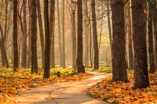 old lamppost stands near a concrete path in the middle of an autumn park