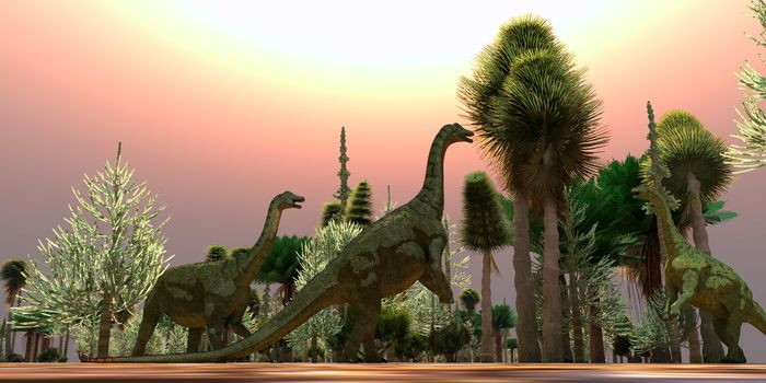 A Saltasaurus dinosaur herd munches on Cycad trees during the Cretaceous Period of Argentina.