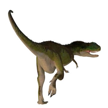Rugops was a predatory feathered theropod dinosaur that lived in Africa during the Cretaceous Period.