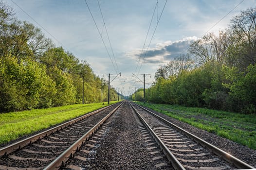 two railway tracks go into the distance in the middle of a green forest