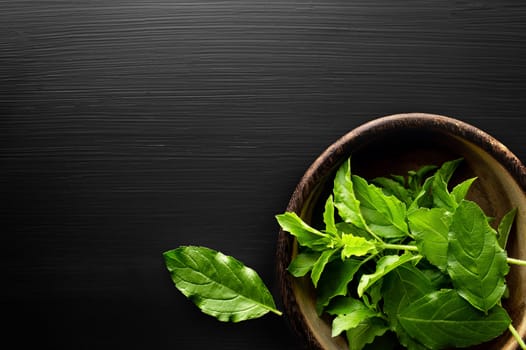 Fresh basil leaves on a black background and copy space.