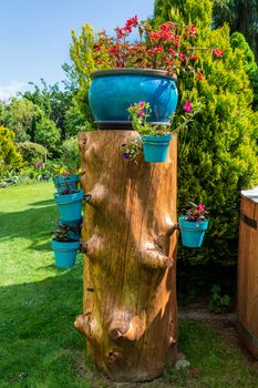 beautiful summer garden concept, flower pots installed on tree trunk, green grass and afternoon sun. Luxury gardening concept with flowers