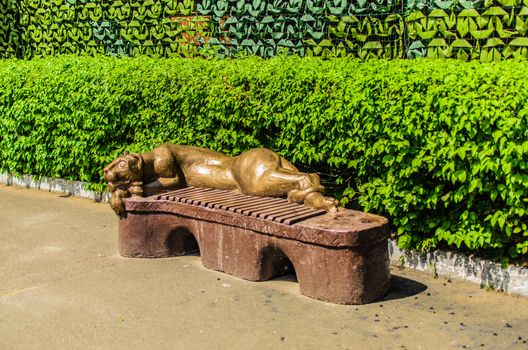 brown bench with a golden statue of a resting lioness against a background of green bushes in a Kiev zoo.