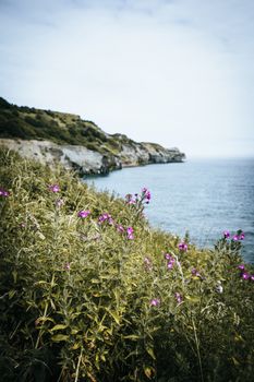 A British coastline during spring on a cliff top edge looking at the sea