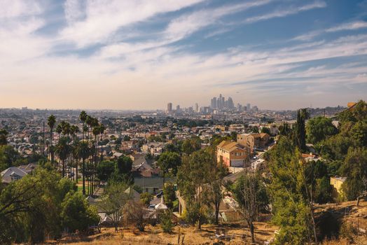 City skyline of Los Angeles in California with palm trees in the foreground.