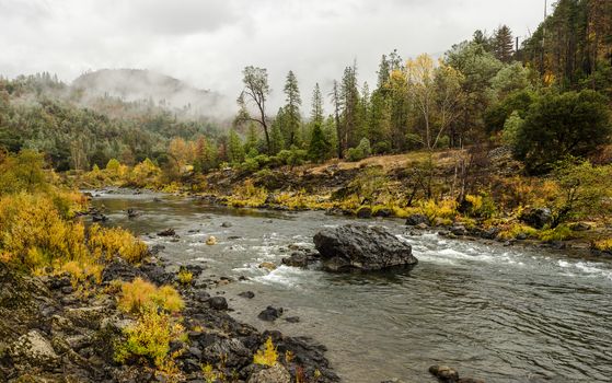 Northern California coastal mountains river landscape in the fall, with the forest shrouded in fog and mist