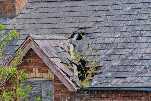 Damaged slate roof tiles on a pitched roof on a derelict house