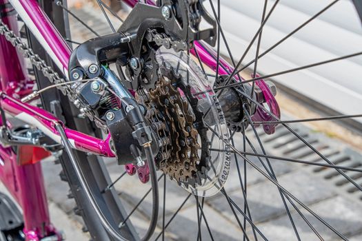 Close view of a bicycle rear gear cogs