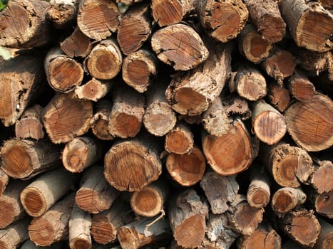 A stack of large wooden logs to be used a firewood
