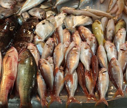 Assorted fresh fish is being offered at an outdoor market