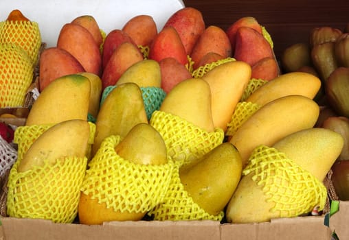 Fresh red and yellow mangoes for sale at an outdoor market
