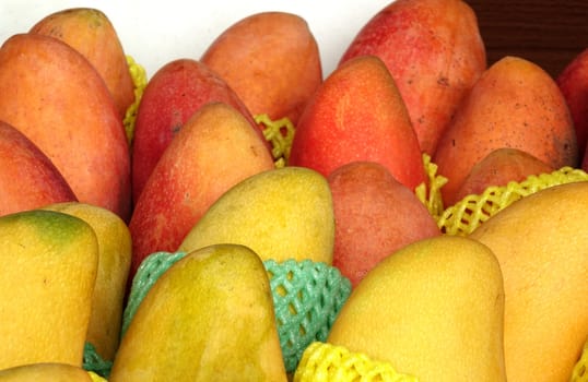 Fresh red Irwin and nugget mangoes for sale at an outdoor market