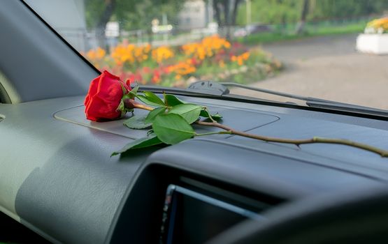 a red rose flower lies on the dashboard inside the car against the background of a city street