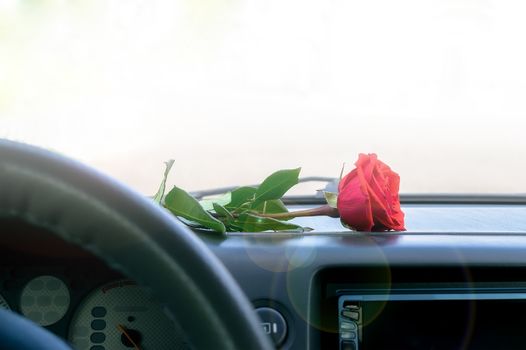 red rose flower lies on the dashboard inside the car