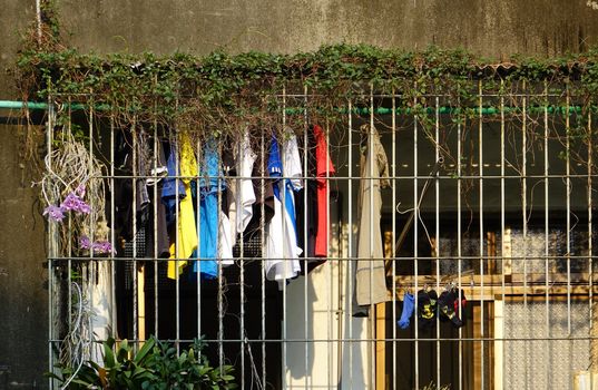 On an overgrown balcony fenced in with iron bars hangs laundry to dry
