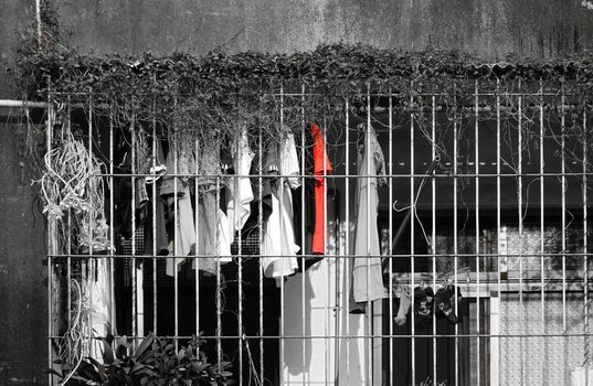 On an overgrown balcony fenced in with iron bars hangs laundry to dry