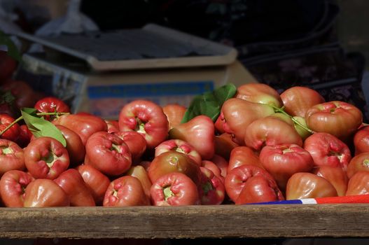 Wax apples or bell fruits (Syzygium samarangense) are a popular fruit in Taiwan