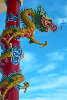 Chinese dragons 