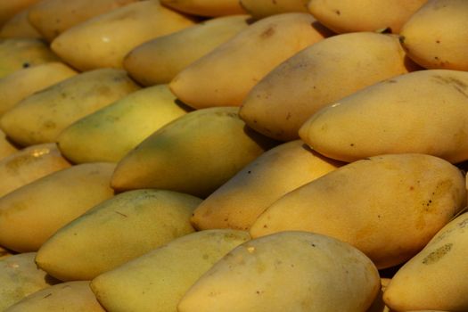 golden ripe mangoes